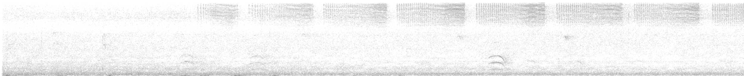 moták tichomořský - ML628168172