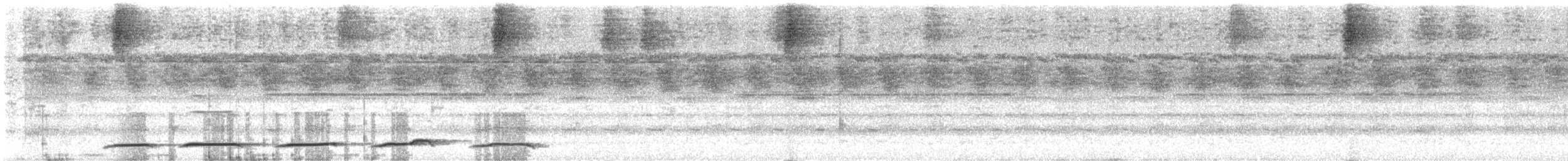Oriental Bay-Owl - ML628172771