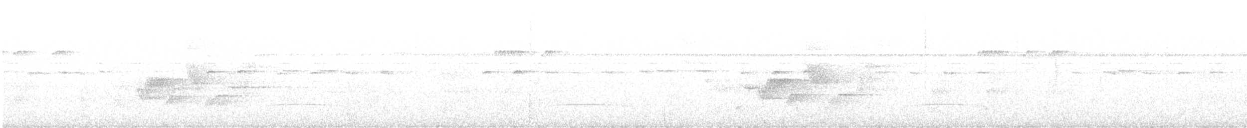 wren sp. - ML628174217