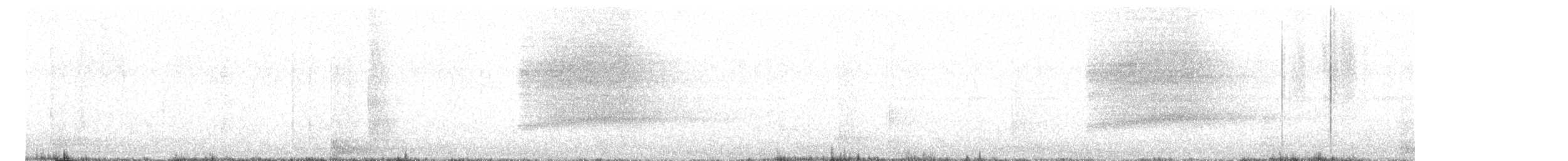 Eastern Barn Owl - ML628183354