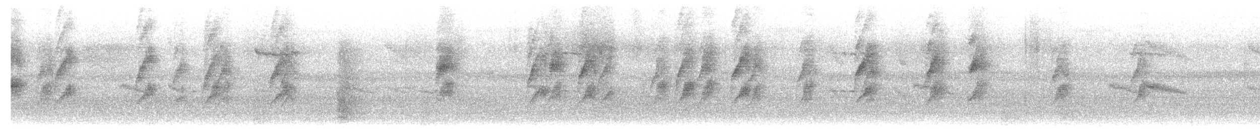 ホオジロヒヨドリ - ML628190086