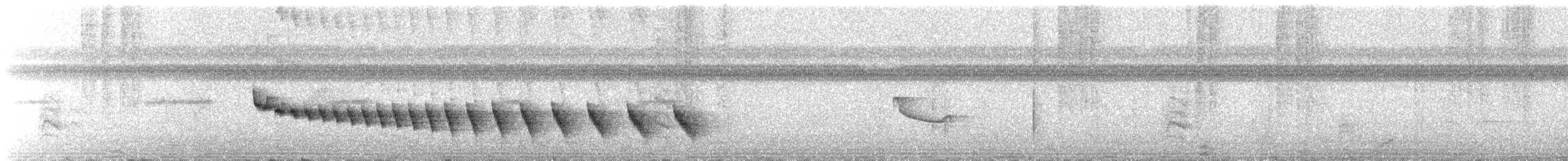 Ak Karınlı Karıncakuşu - ML628193109