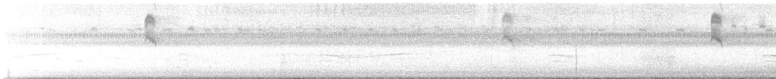 østkongetyrann - ML628194543