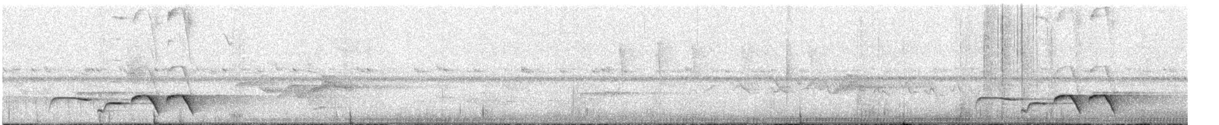 Moustached Wren - ML628195160