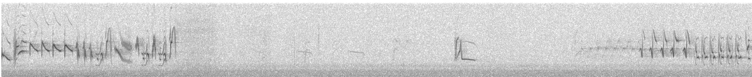 Schwarzzeisig - ML628197374