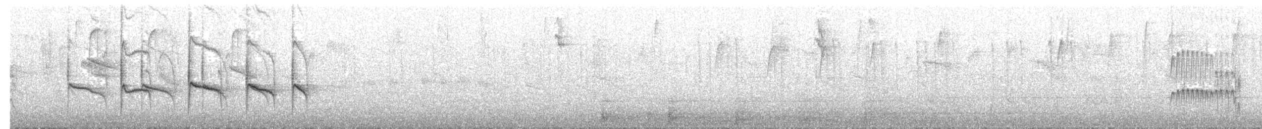 Mosquerito Silbón - ML628197985