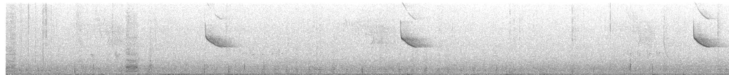 Zanate Matorralero - ML628198069