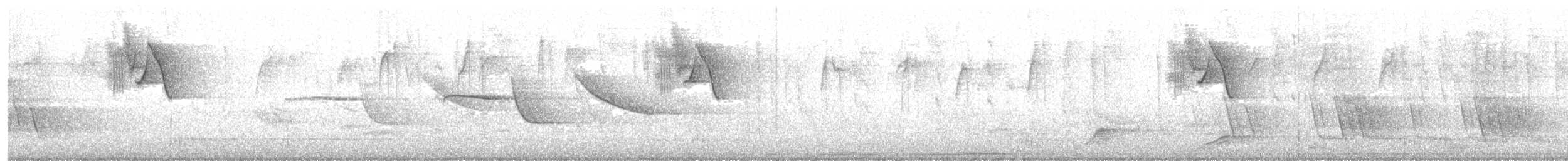 Semillero Volatinero - ML628198182