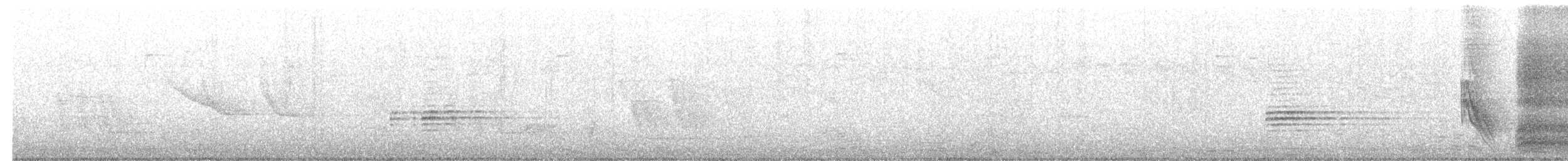 Busardo Mixto - ML628198288