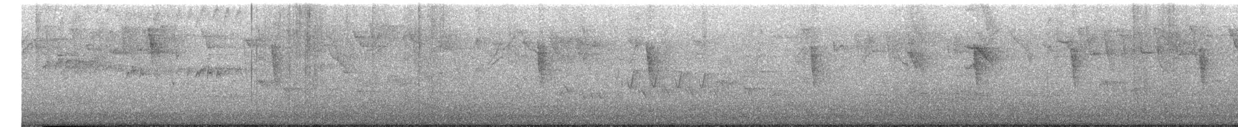 Northern/Mangrove Yellow Warbler - ML628198343