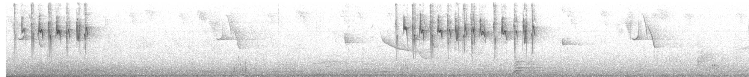 Conirrostro Cinéreo - ML628198538