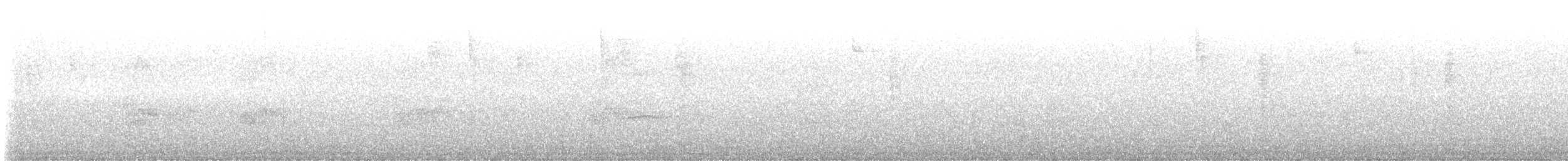 Barred Parakeet - ML628200052