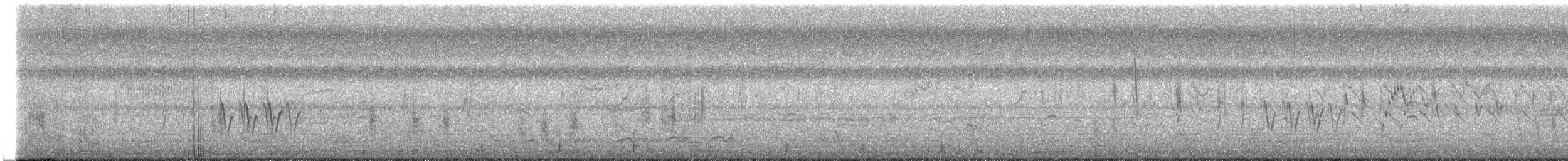 Striated Grassbird - ML628200588