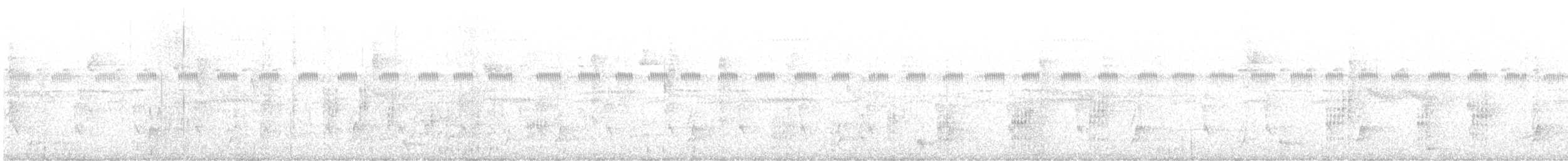 wren sp. - ML628201981