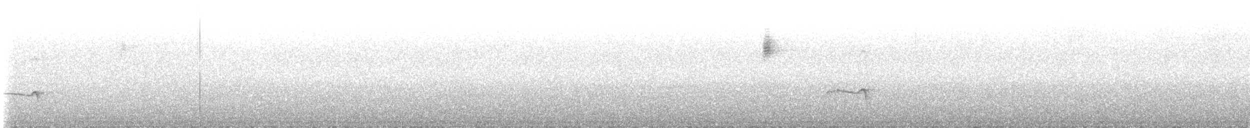 Mistletoe Tyrannulet - ML628207052