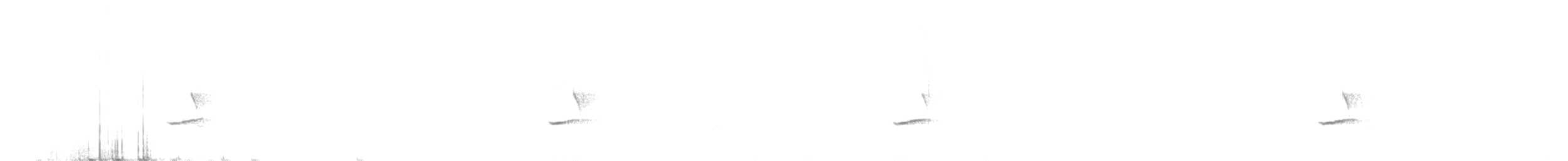 New Zealand Fernbird - ML628210436