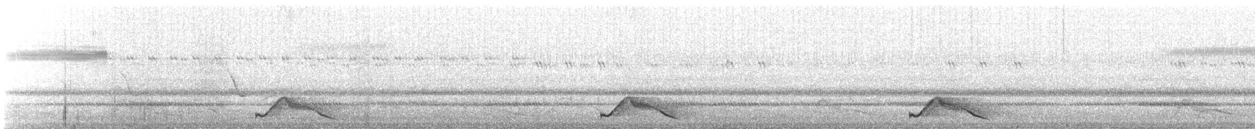 Common Pauraque - ML628212102