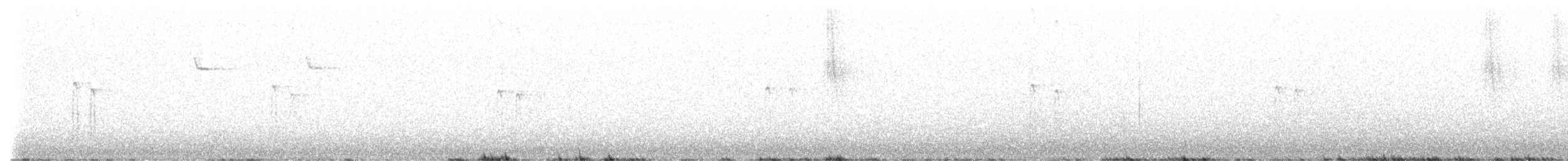 White-headed Woodpecker - ML628215723