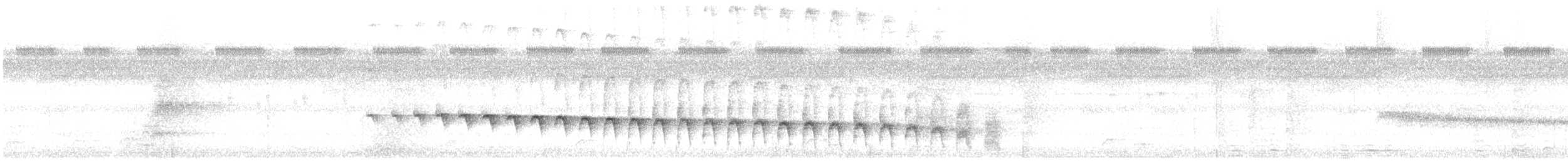 Ash-breasted Antbird - ML628216661