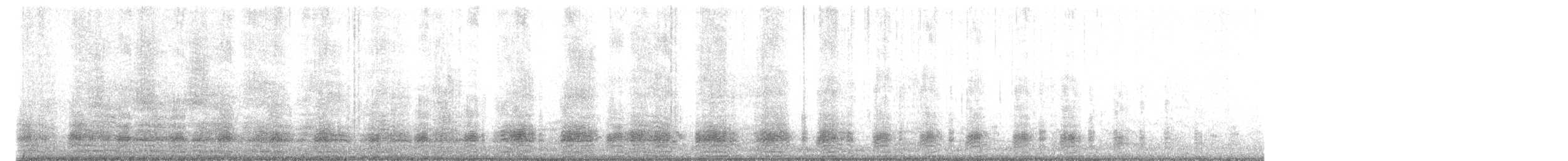 Mallard (Domestic type) - ML628218448
