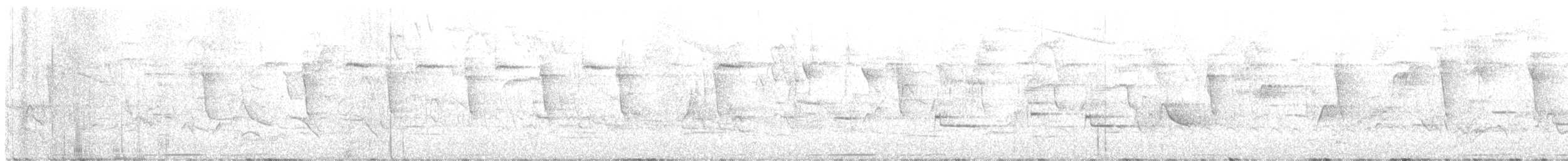 Large-tailed Dove - ML628219541