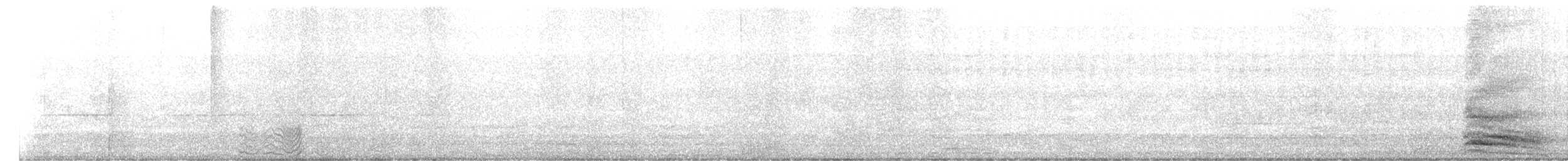 Large-billed Crow (Indian Jungle) - ML628233891