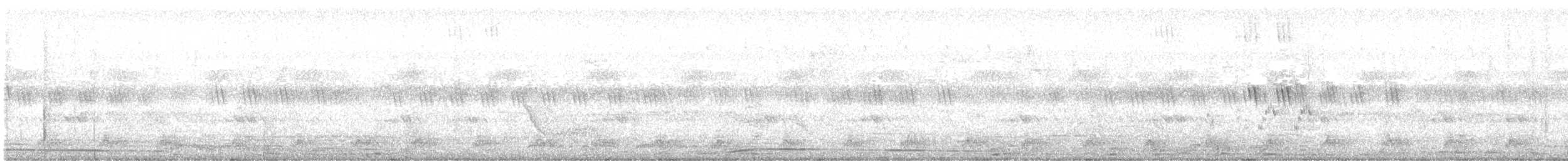 Plain Bush-hen - ML628235060