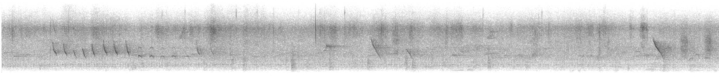 Bronzed Drongo - ML628244455