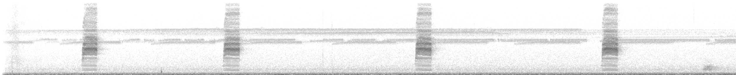 Amerika Örümcekkuşu - ML628245681