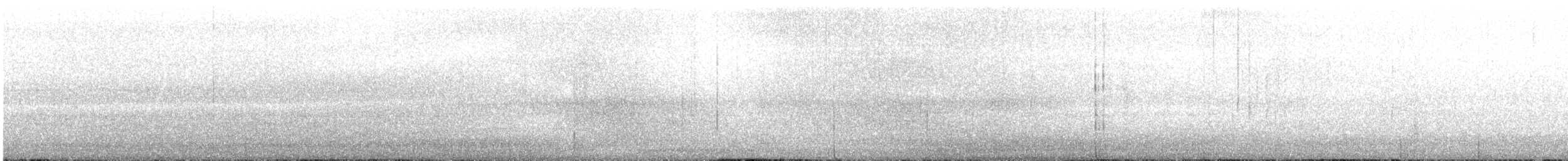 Heermann's Gull - ML628248758