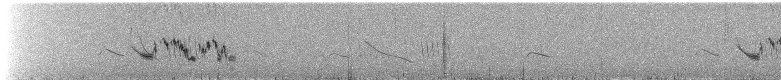 Paramo Pipit - ML628255354