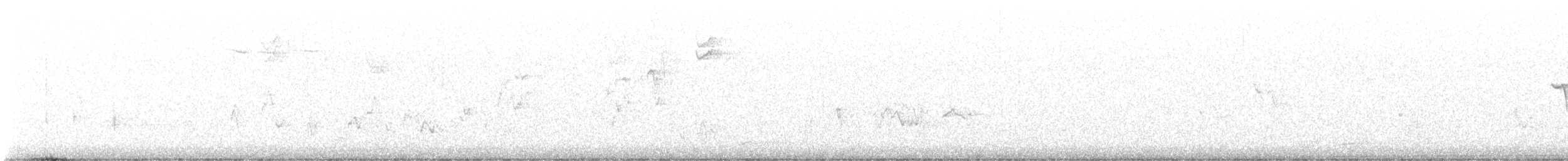 Purple Finch - ML628256149