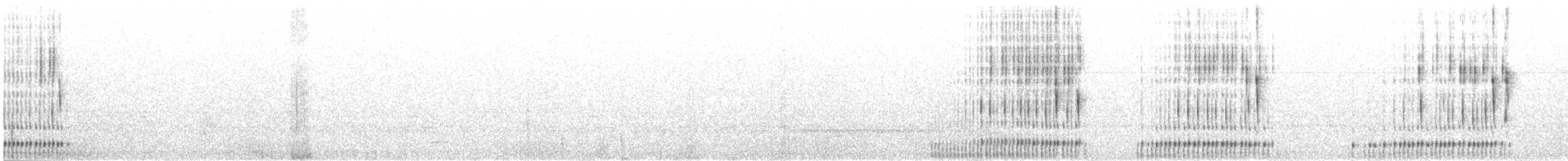 Northern Saw-whet Owl - ML628257037