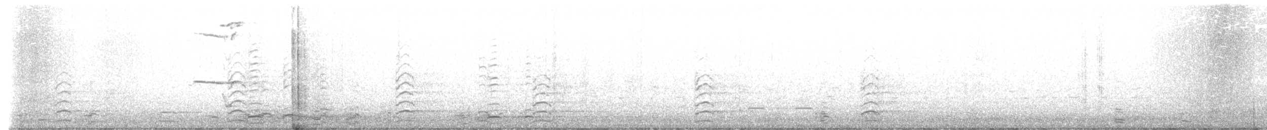 Snow Goose - ML628261298