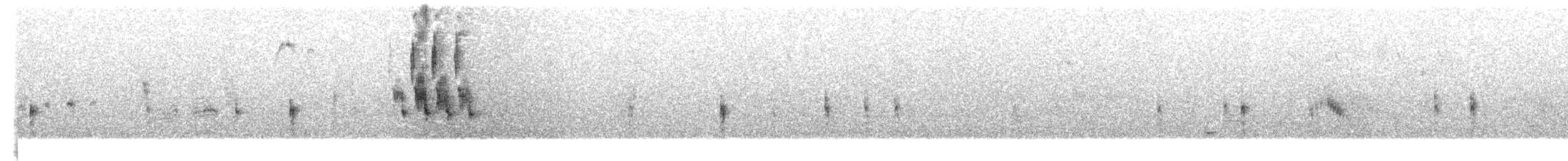 papežík americký - ML62826291