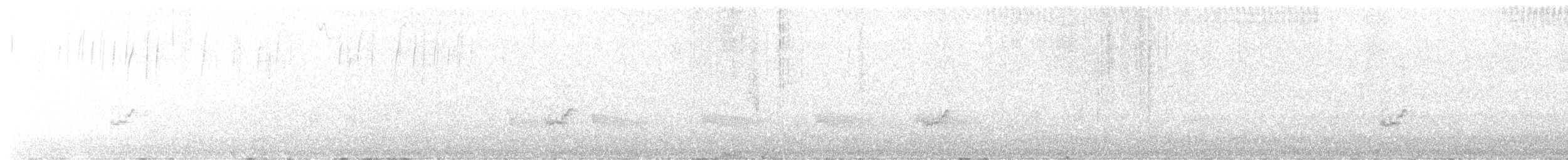 Barred Parakeet - ML628270468