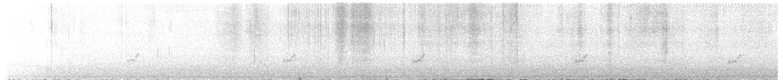 Barred Parakeet - ML628270469