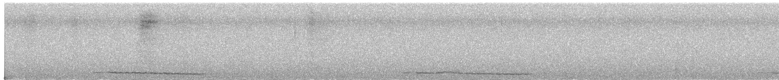 Eastern Screech-Owl - ML628276698