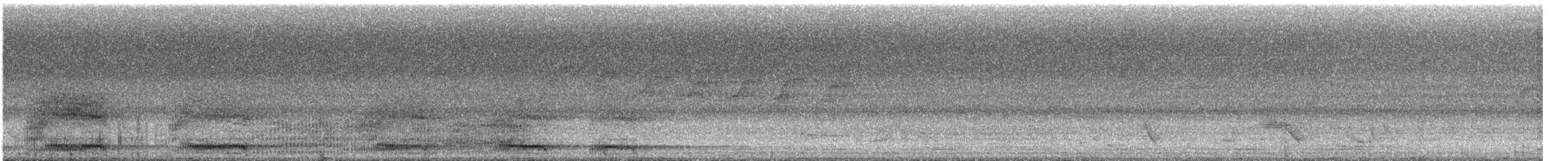 Channel-billed Cuckoo - ML628277031