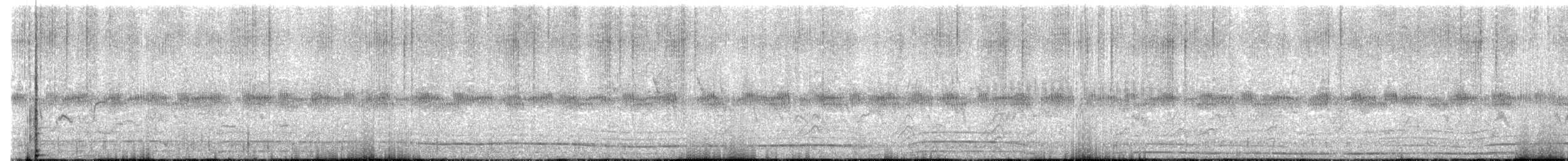 Barred Owl - ML628278900