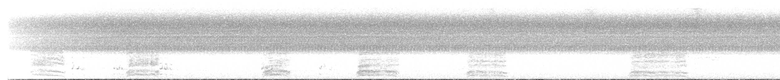 Channel-billed Cuckoo - ML628281081