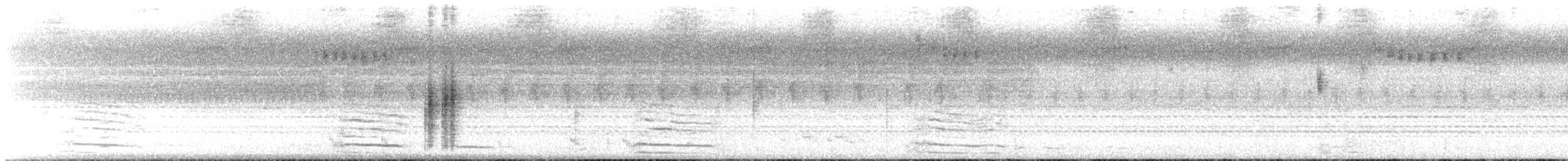 Willie-wagtail - ML628281096