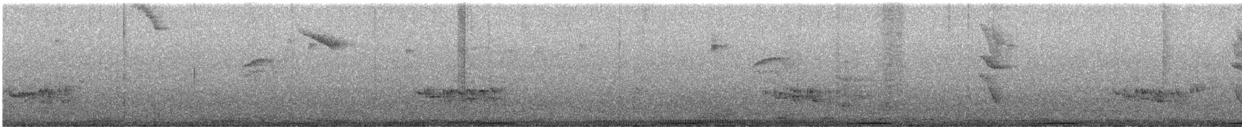 Band-tailed Pigeon - ML628281797