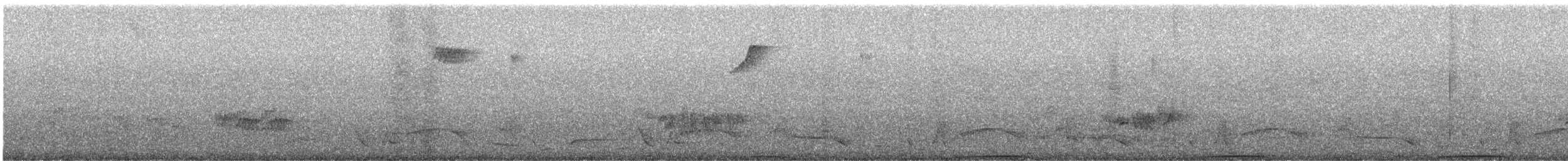 Band-tailed Pigeon - ML628281798