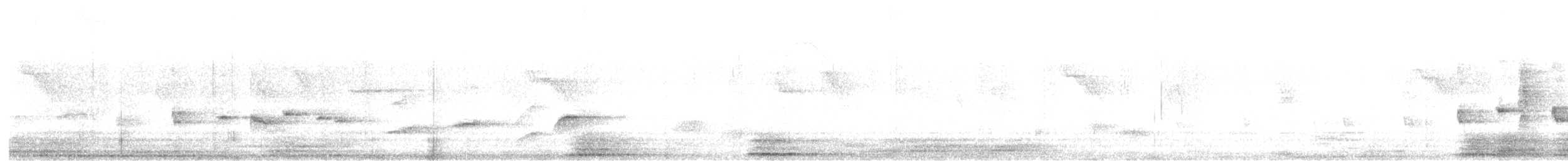 Spot-breasted Fantail - ML628282863