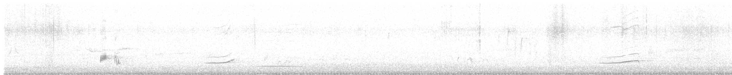 Common Iora - ML628283481