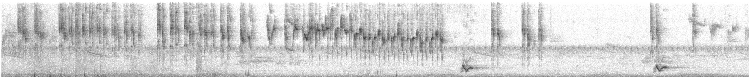 ムナグロオーストラリアムシクイ - ML628285645