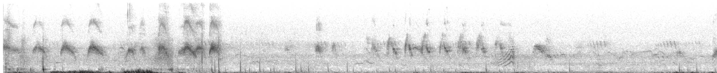 Horus Swift - ML628287891
