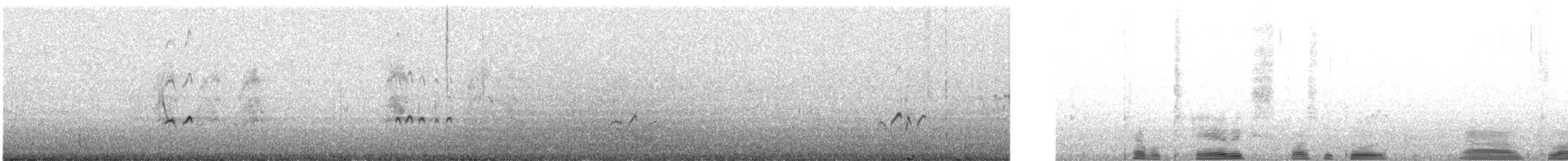 Terek Sandpiper - ML628289984