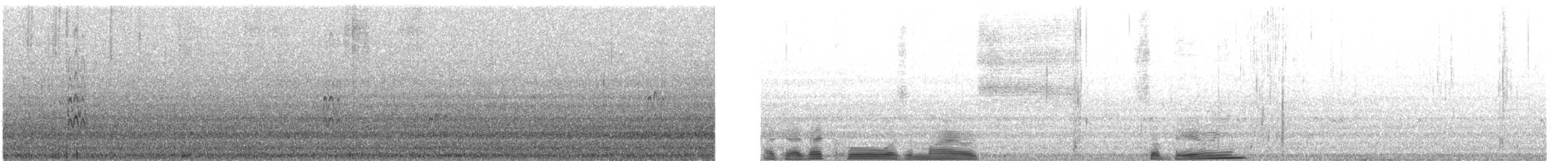 Siberian Sand-Plover - ML628289996